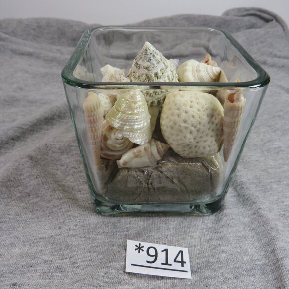 REAL Sea Shells in a Glass Square Vase and sand #5 - Picture 3 of 9